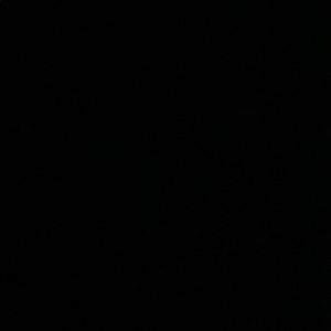 Meet your Posher, Benjamin